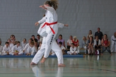 IMG_3105_bearbeitet-1