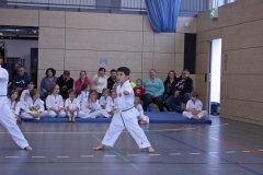 IMG_6496_bearbeitet-1
