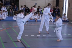 IMG_6522_bearbeitet-1