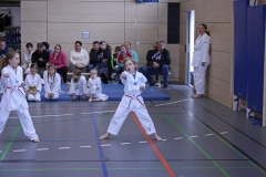 IMG_6526_bearbeitet-1