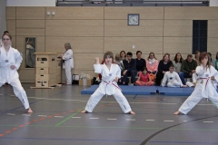 IMG_6528_bearbeitet-1