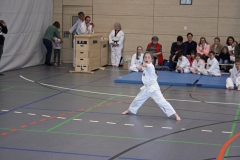 IMG_6566_bearbeitet-1