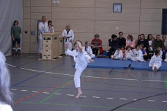 IMG_6575_bearbeitet-1