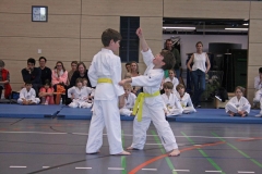 IMG_6613_bearbeitet-1