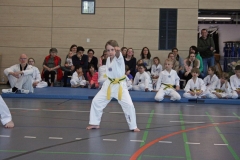 IMG_6624_bearbeitet-1
