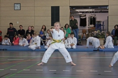 IMG_6630_bearbeitet-1
