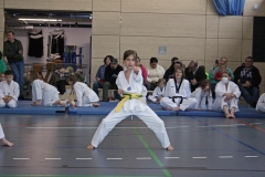 IMG_6631_bearbeitet-1