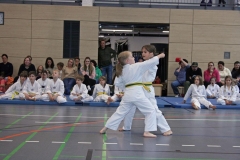 IMG_6647_bearbeitet-1