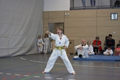 IMG_6667_bearbeitet-1
