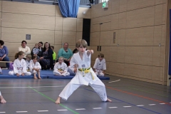 IMG_6671_bearbeitet-1