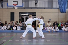 IMG_6698_bearbeitet-1