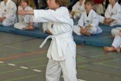 IMG_9005_bearbeitet-1