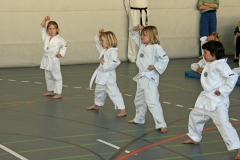 IMG_9011_bearbeitet-1