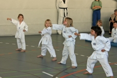 IMG_9012_bearbeitet-1