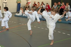 IMG_9014_bearbeitet-1