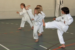 IMG_9016_bearbeitet-1