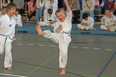 IMG_9071_bearbeitet-1