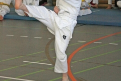 IMG_9075_bearbeitet-1