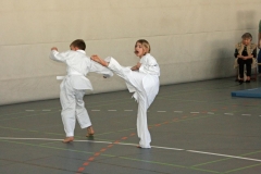 IMG_9080_bearbeitet-1