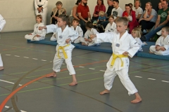 IMG_9108_bearbeitet-1