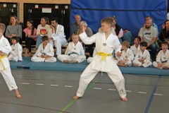 IMG_9111_bearbeitet-1