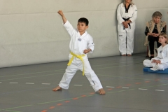 IMG_9115_bearbeitet-1