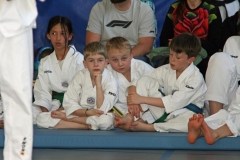 IMG_9131_bearbeitet-1