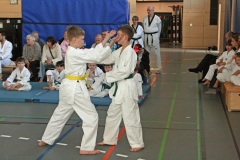 IMG_9138_bearbeitet-1