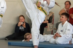 IMG_9178_bearbeitet-1