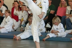 IMG_9181_bearbeitet-1