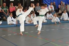 IMG_9274_bearbeitet-1