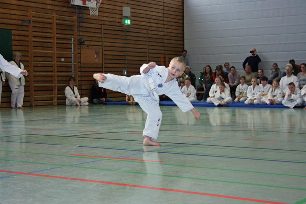 IMG_1775_bearbeitet-1