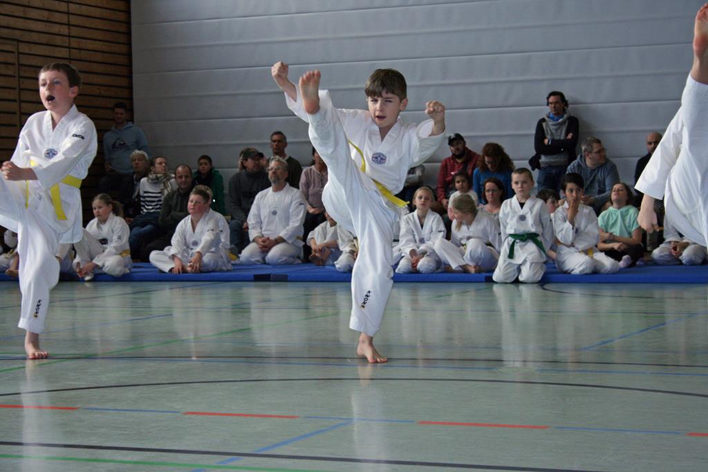 IMG_1904_bearbeitet-1