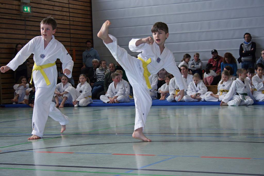 IMG_1908_bearbeitet-1