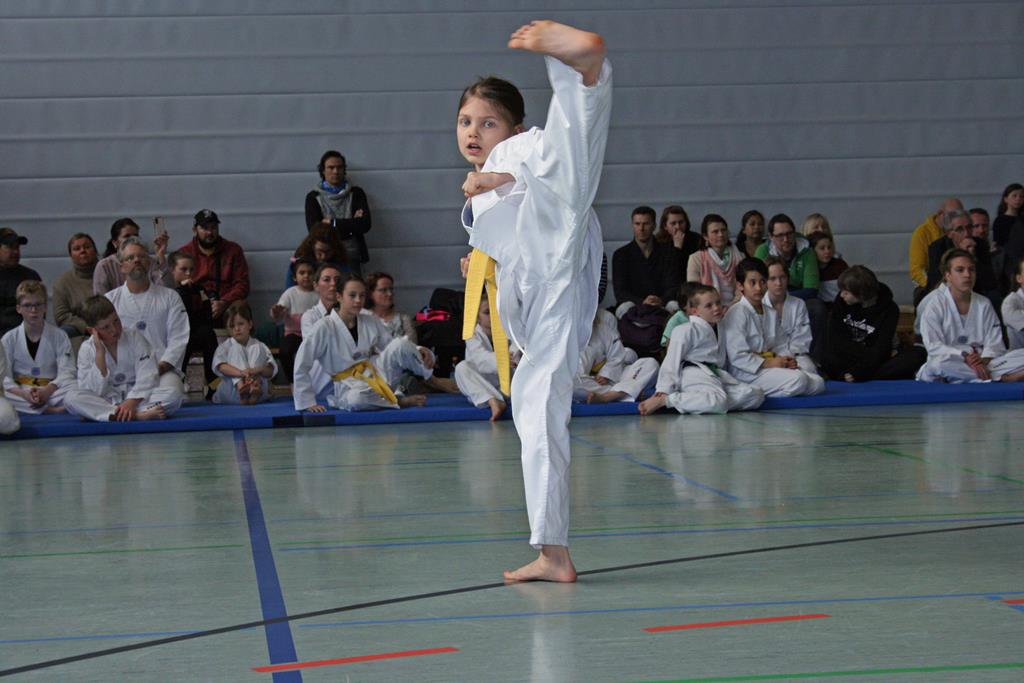 IMG_1910_bearbeitet-1
