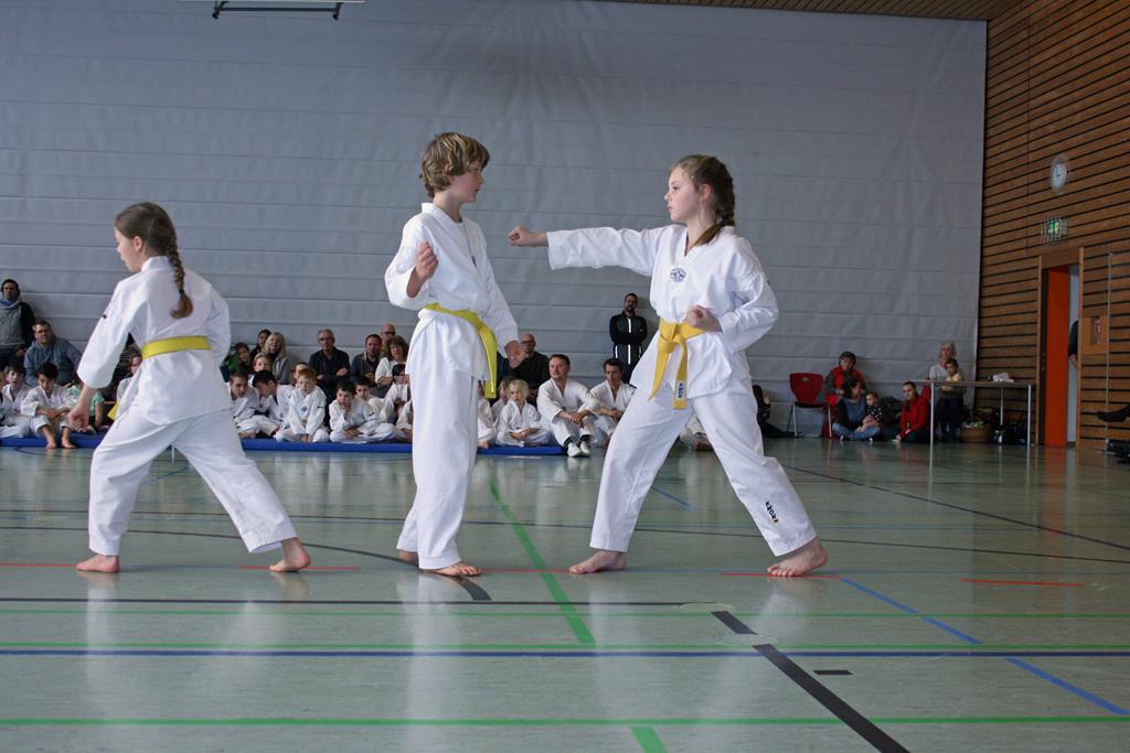IMG_1919_bearbeitet-1