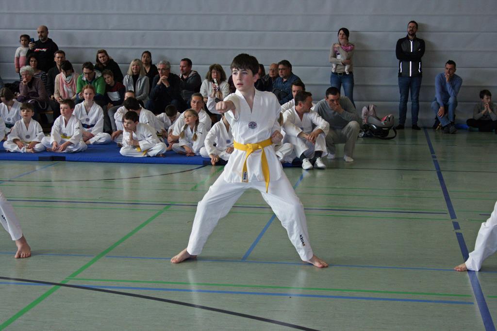 IMG_1936_bearbeitet-1
