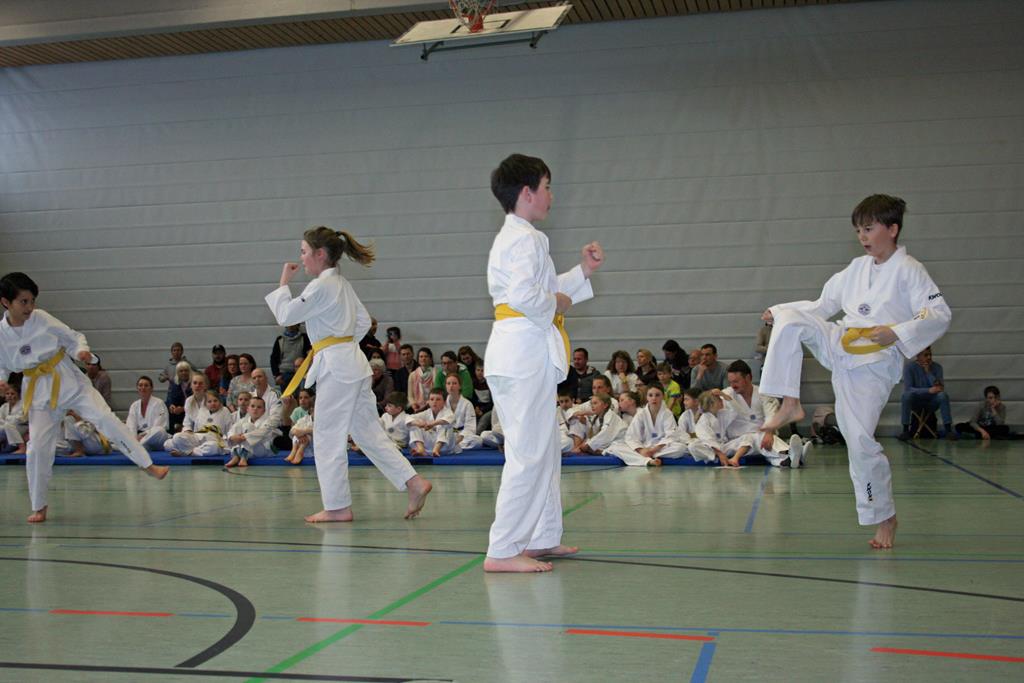 IMG_1969_bearbeitet-1