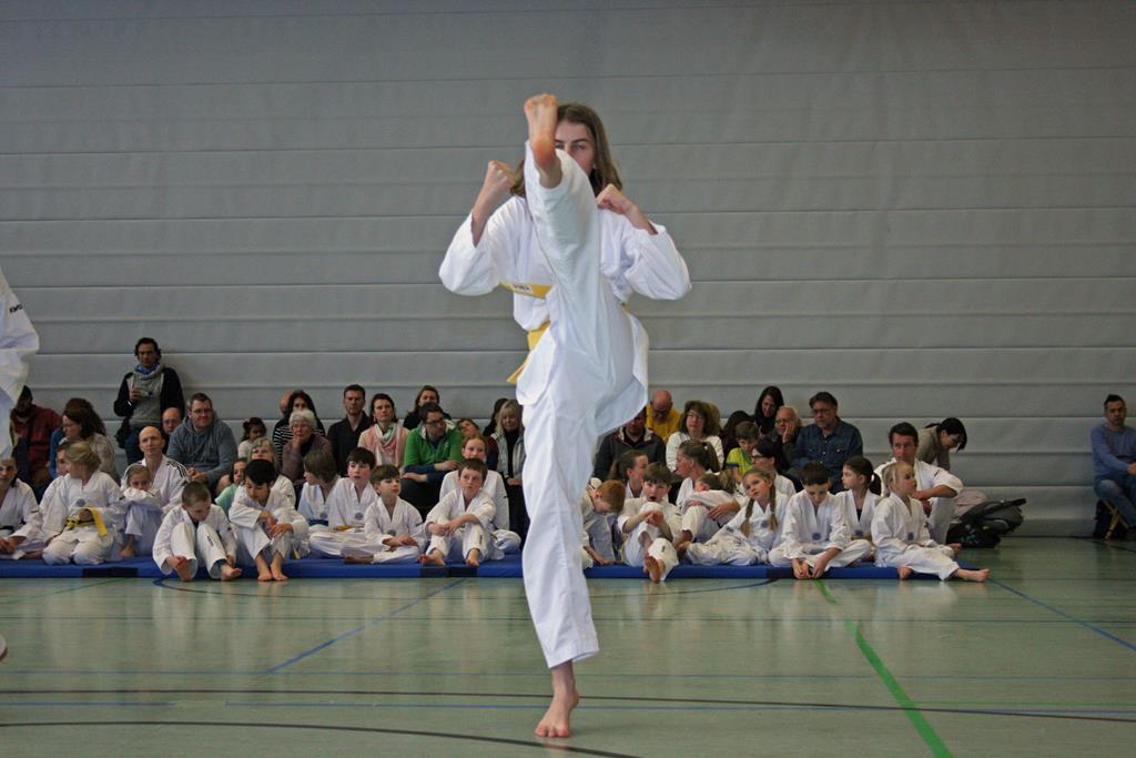 IMG_1986_bearbeitet-1