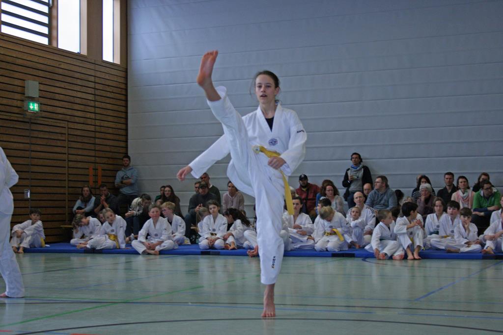 IMG_1987_bearbeitet-1