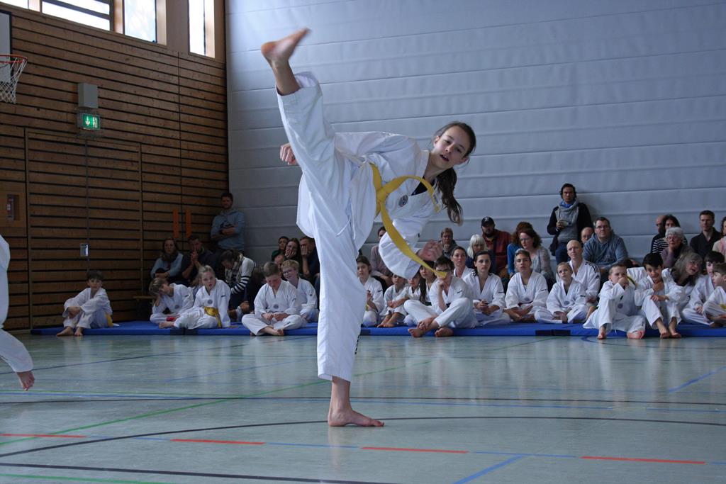 IMG_1990_bearbeitet-1