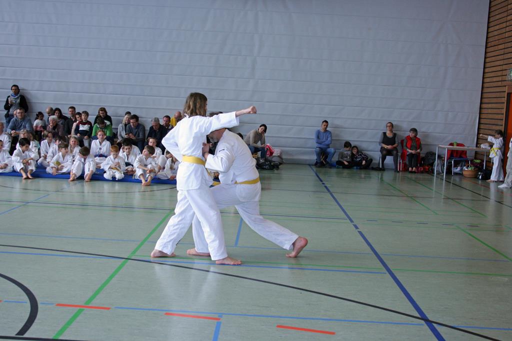 IMG_2000_bearbeitet-1