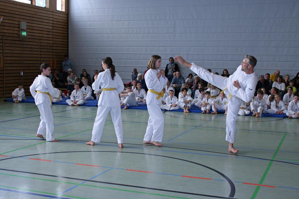 IMG_2002_bearbeitet-1