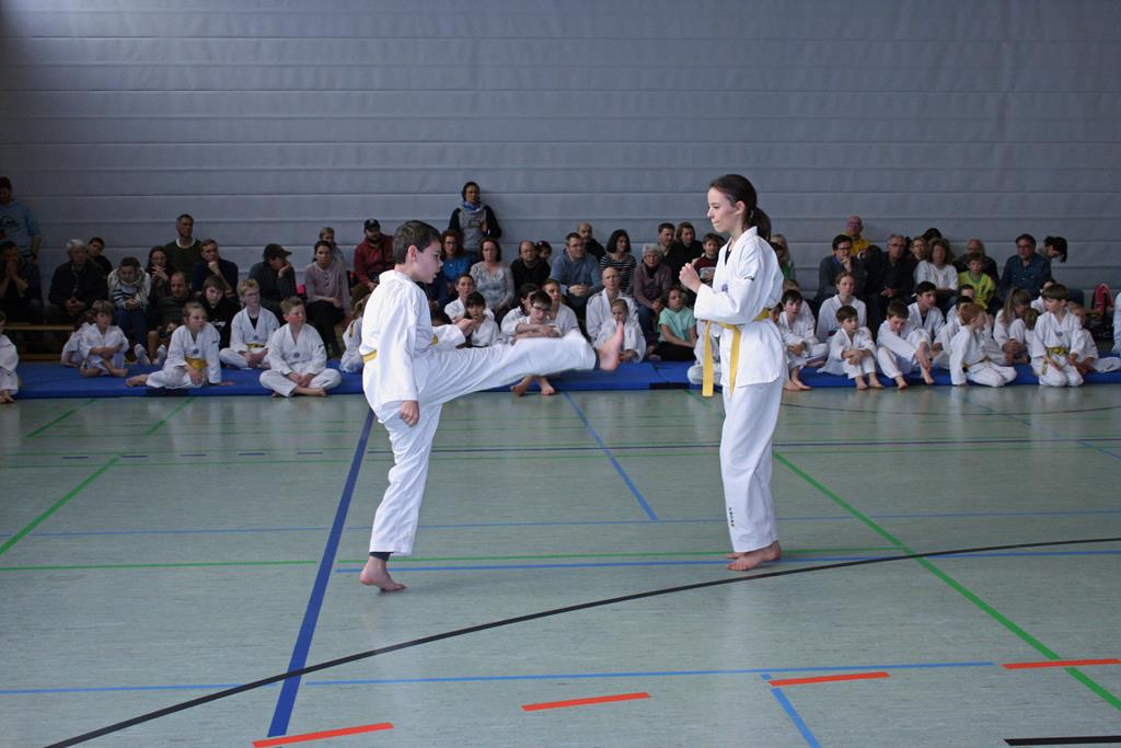 IMG_2005_bearbeitet-1