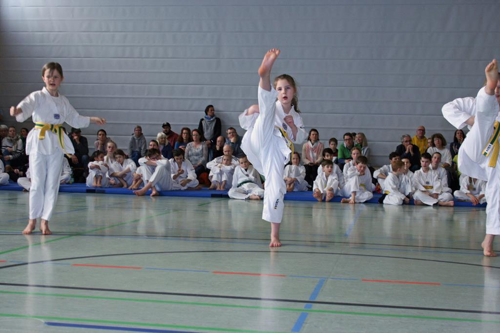 IMG_2022_bearbeitet-1