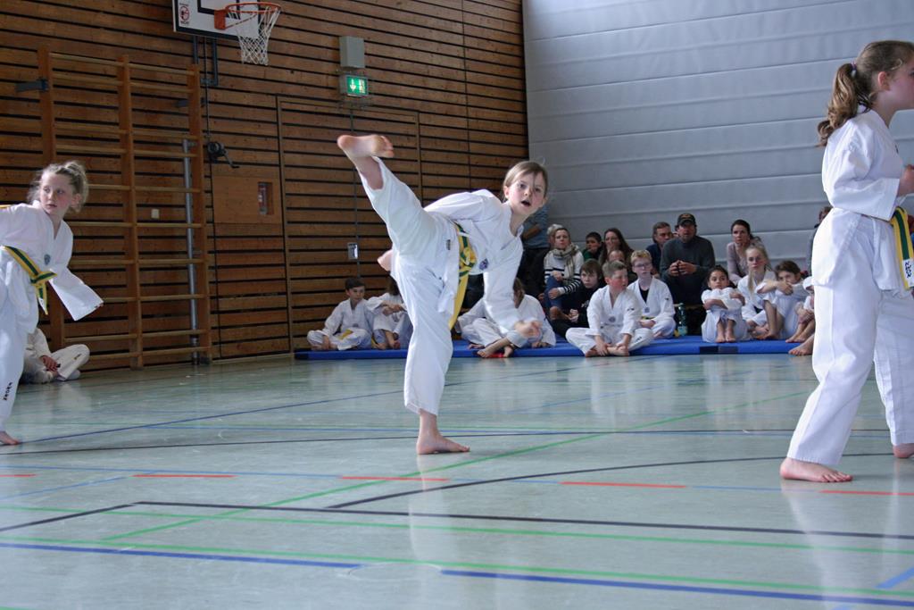 IMG_2030_bearbeitet-1