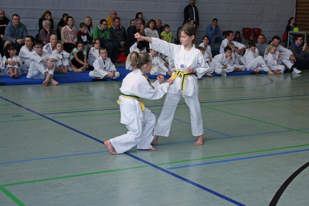 IMG_2037_bearbeitet-1