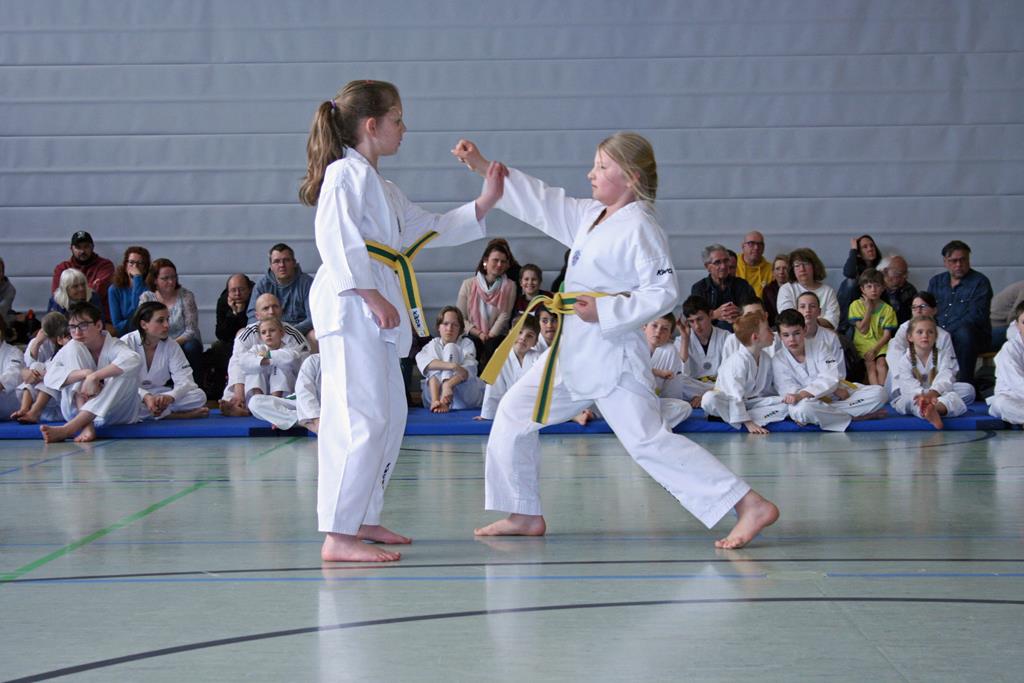 IMG_2039_bearbeitet-1