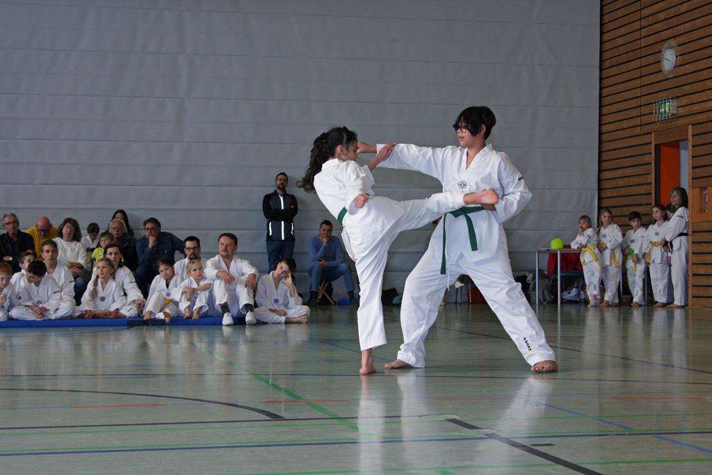 IMG_2109_bearbeitet-1