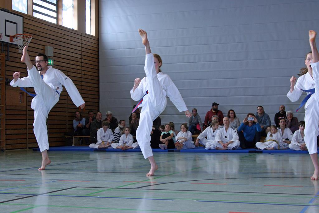 IMG_2246_bearbeitet-1